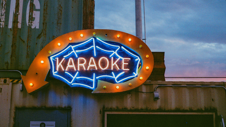 JGA Idee | Karaoke-Party: Singen, lachen, feiern!